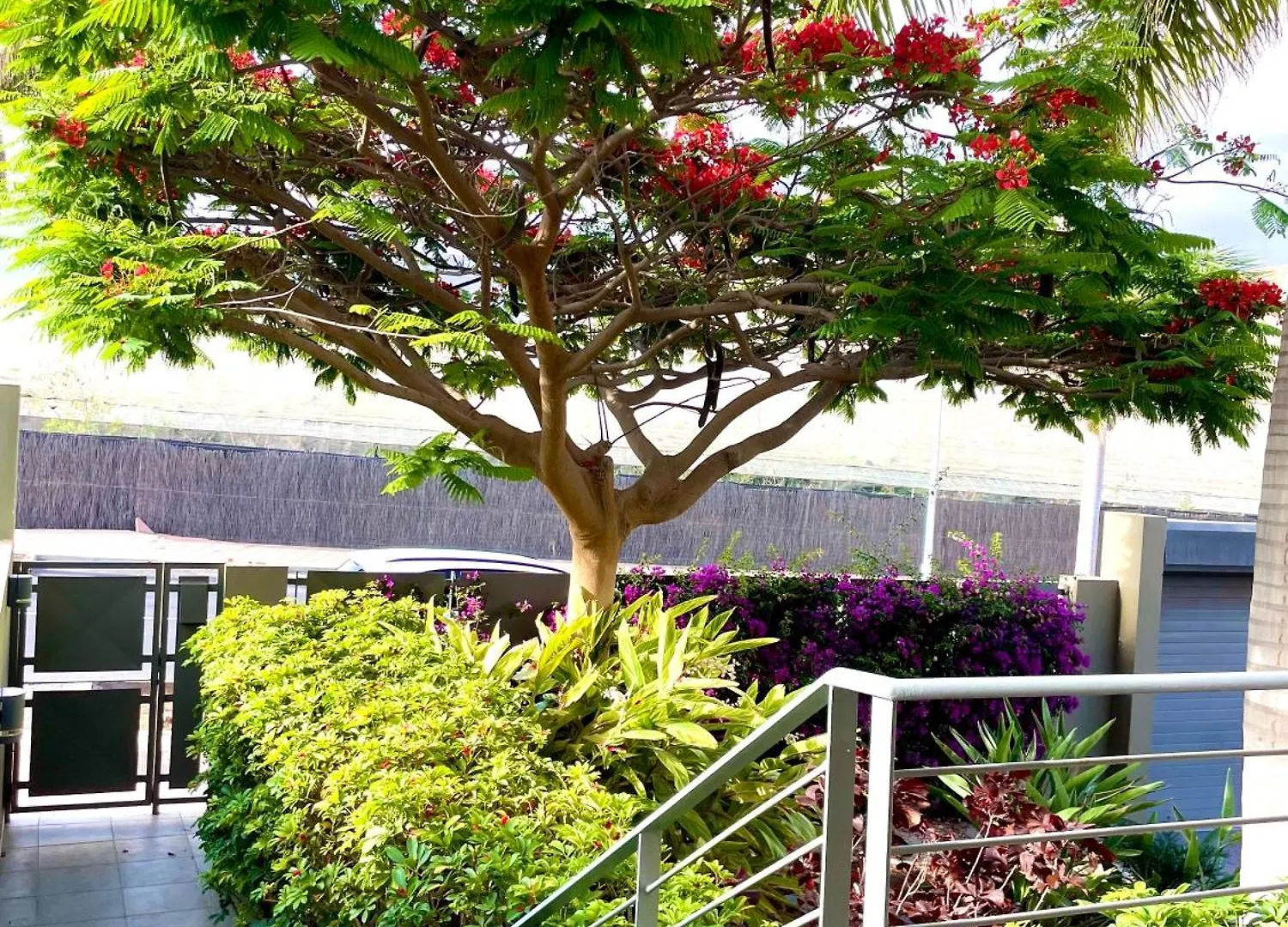 Vivienda Vacacional Miradoiro أذيخي شقة